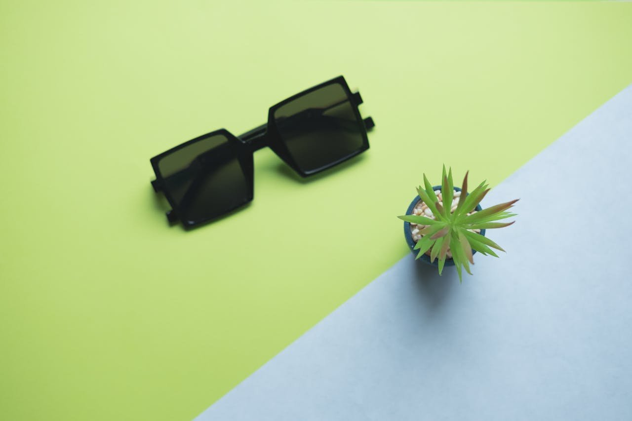 about-02 Flat lay of stylish sunglasses and a succulent on a colorful surface, promoting modern fashion and eco-friendly decor.
